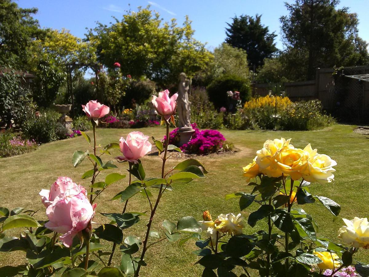 Cherry Garden B&B Folkestone Esterno foto